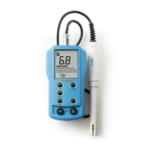 Hanna Instruments Temperature Meter