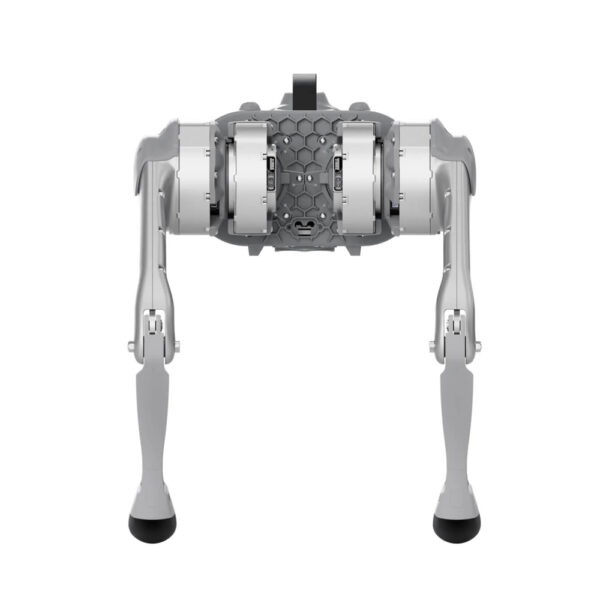 unitree-go1-quadruped-d