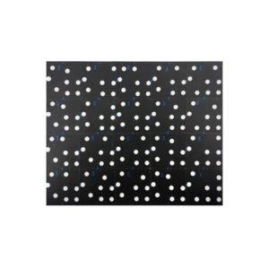 Holon Coding Points